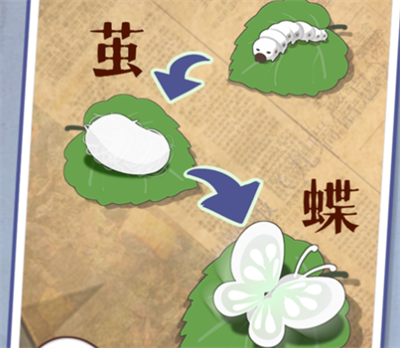 小小养蚕师官方正版下载