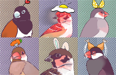 文鸟恋爱物语官方正版下载