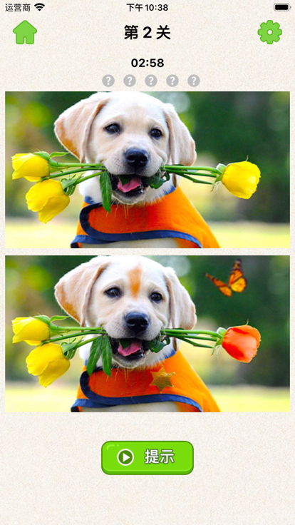 全民疯狂找你妹