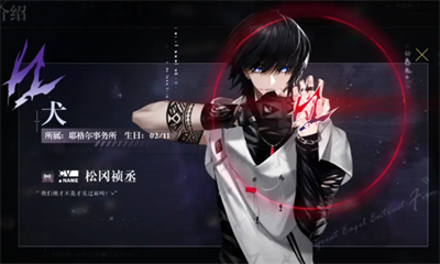 非匿名指令官方正版下载