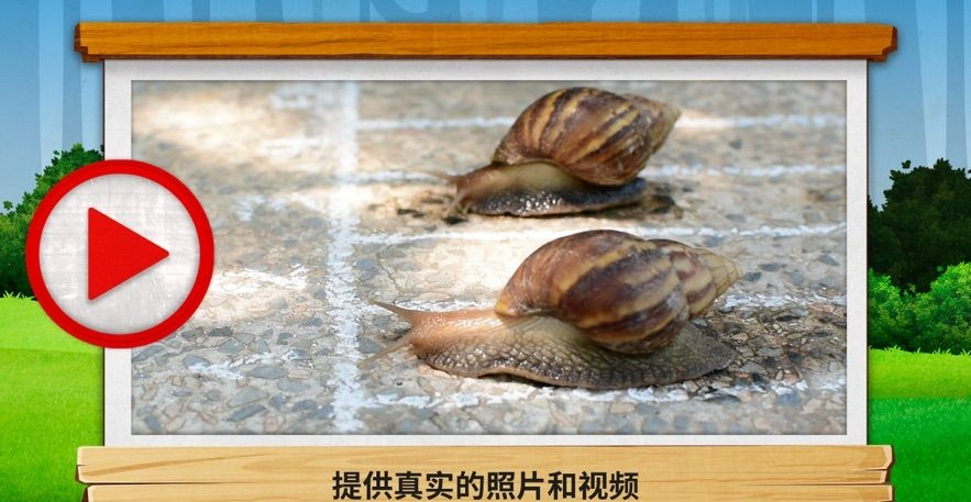 虫虫的世界2官方版